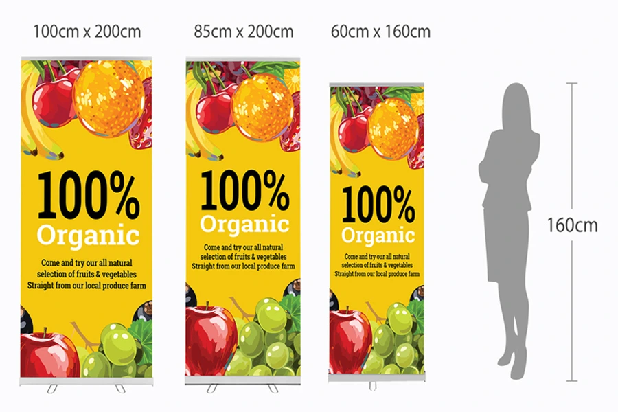 Portable Roll-Up Display Banner